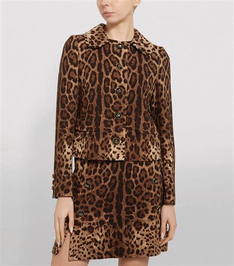 dolce and gabbana leopard jacket